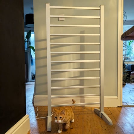 A ginger cat walks beneath a tall white heated ladder airer indoors