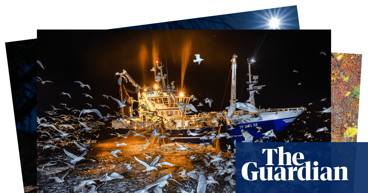 Wildlife Photographer of the Year awards in pictures