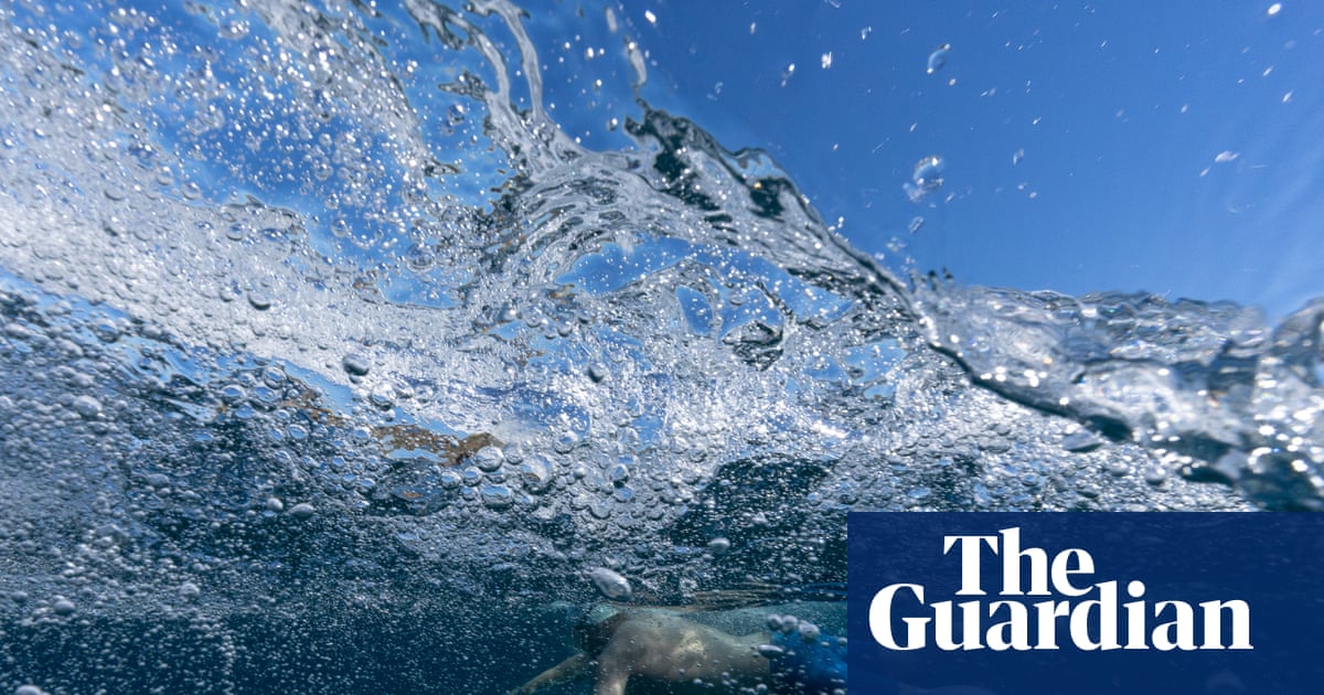 Dolphins, stingers and ‘salt tongue’: an epic ocean swim around New Zealand’s east coast