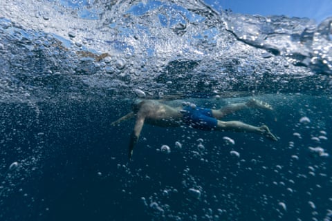 Dolphins, stingers and ‘salt tongue’: an epic ocean swim around New Zealand’s east coast Dolphins, stingers and ‘salt tongue’: an epic ocean swim around New Zealand’s east coast