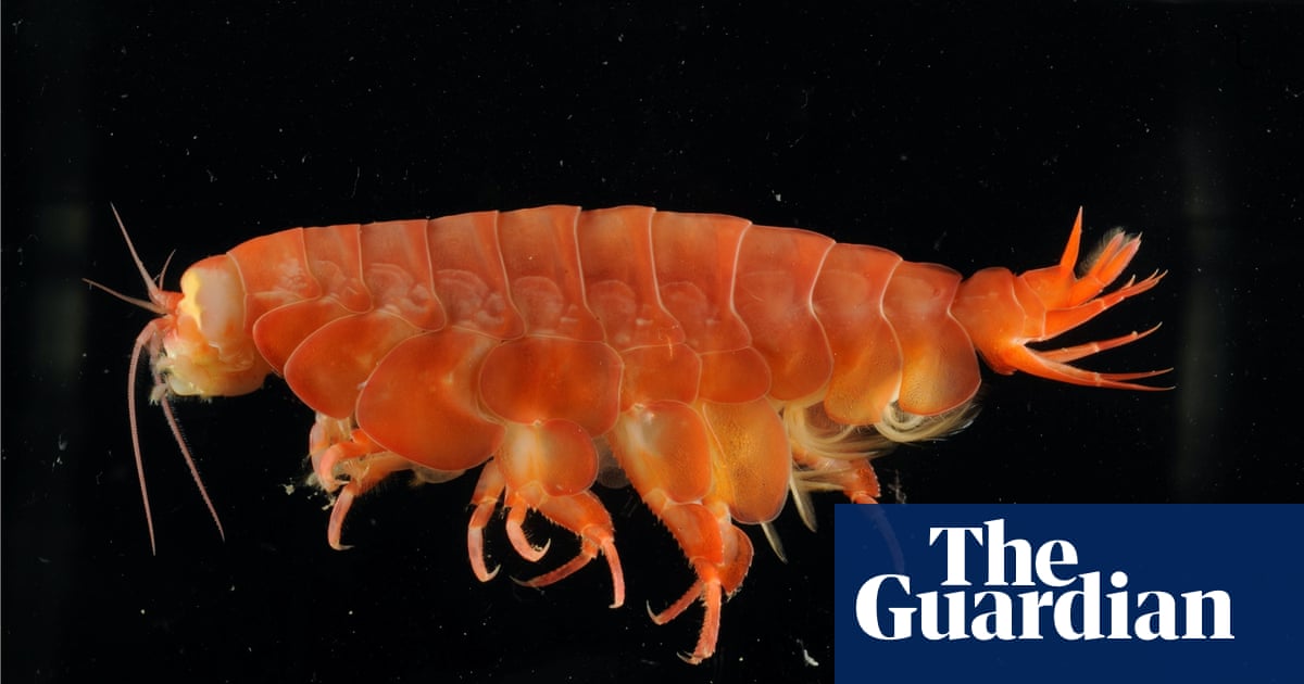 Natural History Museum identifies more than 500 new species in 2021