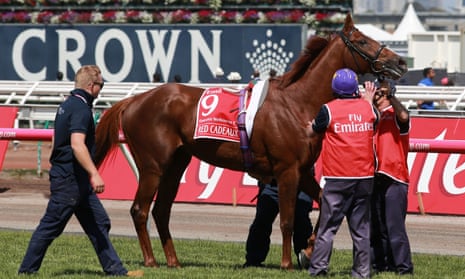 Red Cadeaux, put down after injuries sustained during the Melbourne Cup.