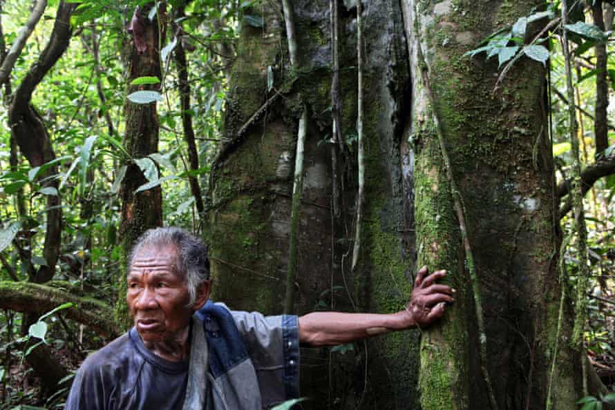 Remigio Santos, of the Ticuna ethnic group, looks for medicinal plants in San Martin de Amacayacu, a town located in the Amazon region of Colombia.