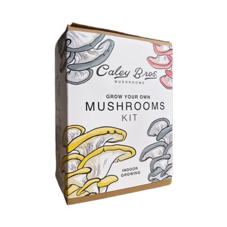 Caley Bros mushroom gift box