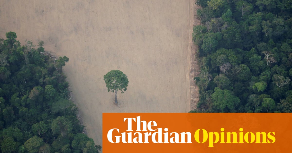 The Guardian view on Brazil and the Amazon: don’t look away