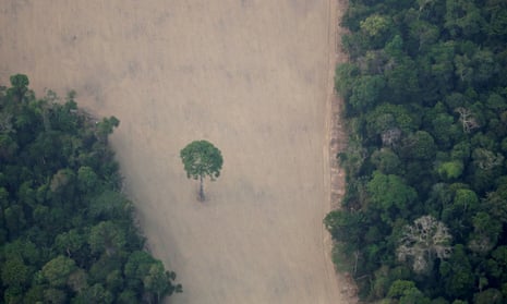 An aerial view shows a deforested plot of the Amazon near Porto Velho, Rondônia state, Brazil in 2019