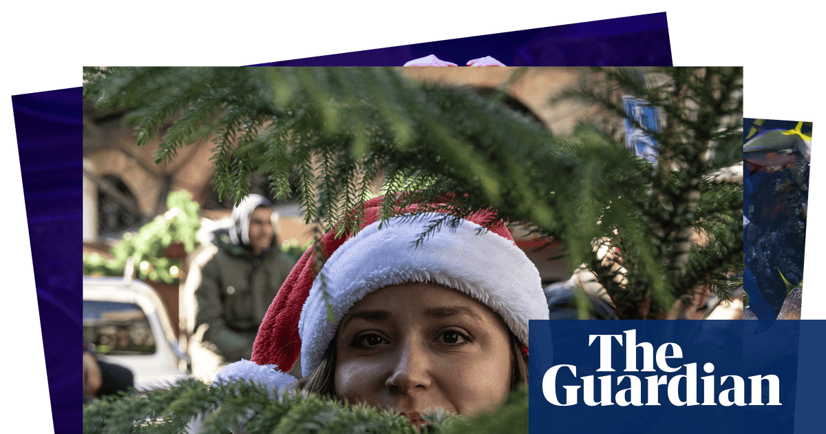 An adopted polar bear cub and Christmas in the Holy Land: photos of the day