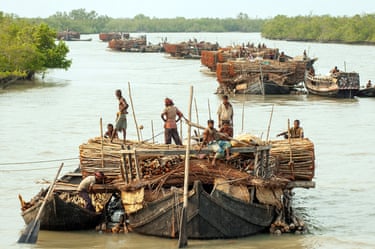 A line of wooden boats carrying wood on a river