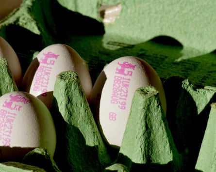 Closeup of lion mark eggs