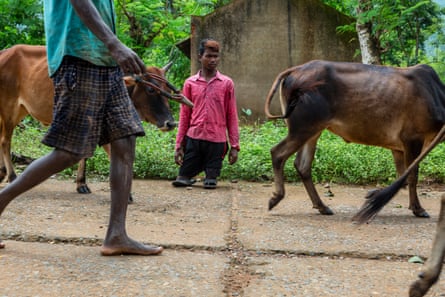 Hembram kneeling beside the road as a man walks past herding cows