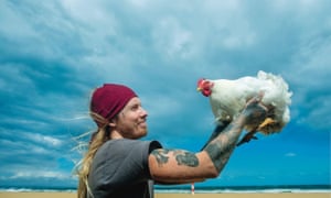Chickens Rule Why The Backyard Chook Is The Pet Of The Decade