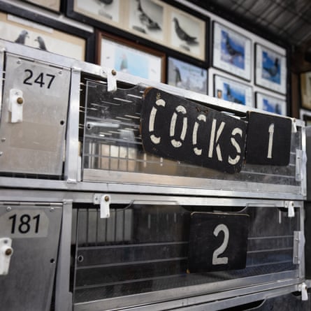 One of the many pigeon cages within the club.