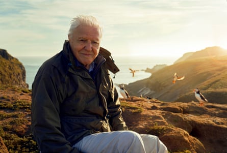 Sir David Attenborough, filming for Wild Isles series, next to Common puffins on Skomer Island, off the Pembrokeshire coast, Wales.
