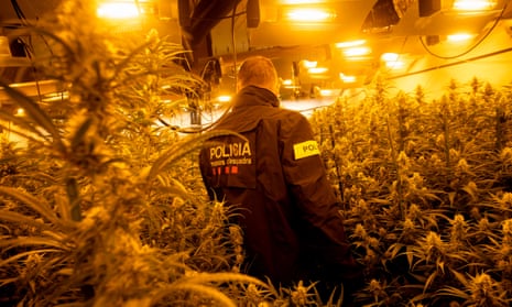 A member of the Catalan police during a raid on a drugs factory.