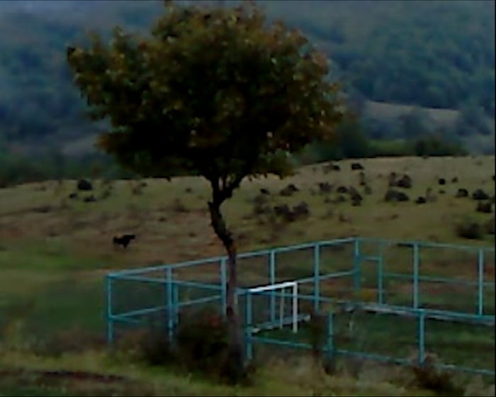 Dry Leaf review – three-hour amble around the football pitches of Georgia in search of a daughter