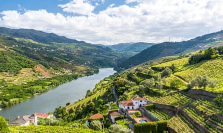 The rolling hills of the vineyard-lined Douro valley.