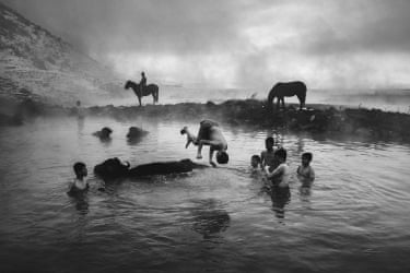 Boys splash and play in a pool, alongside their cattle