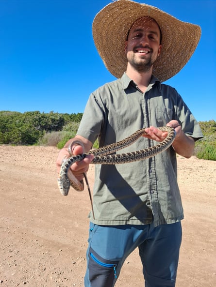 A man in a straw hat handles a horseshoe whip snake