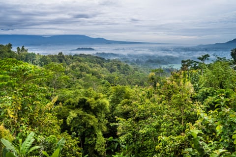 The Kedu plain in Java, Indonesia.