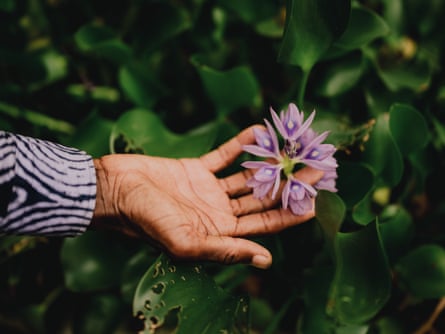 A mans hand cups a spiky purple flower.