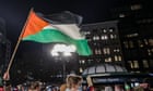 To build an effective movement for Palestine we need every ally | Judith Levine