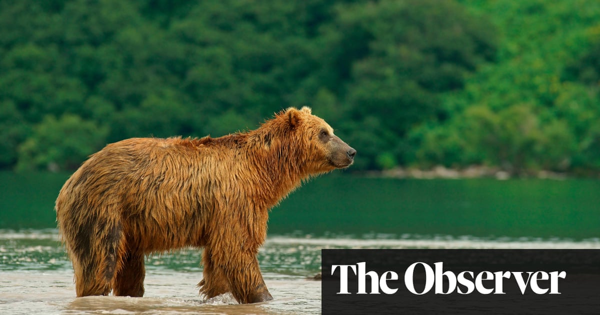 In the Eye of the Wild by Nastassja Martin review – life after being ‘kissed’ by a bear