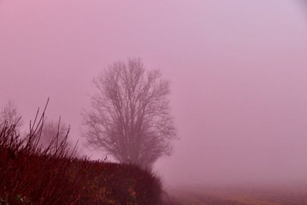 Pink fog can refer to a natural atmospheric phenomenon where sunlight filtering through particles scatters blue light, leaving reds and pinks.