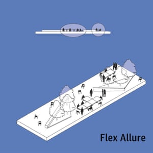 Flex allure