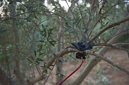 A speaker tied to a tree branch.