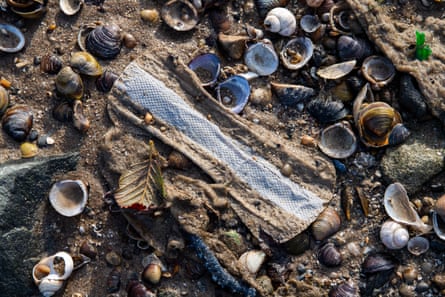 A flushed sanitary item among shells and silt on the Thames riverbed.