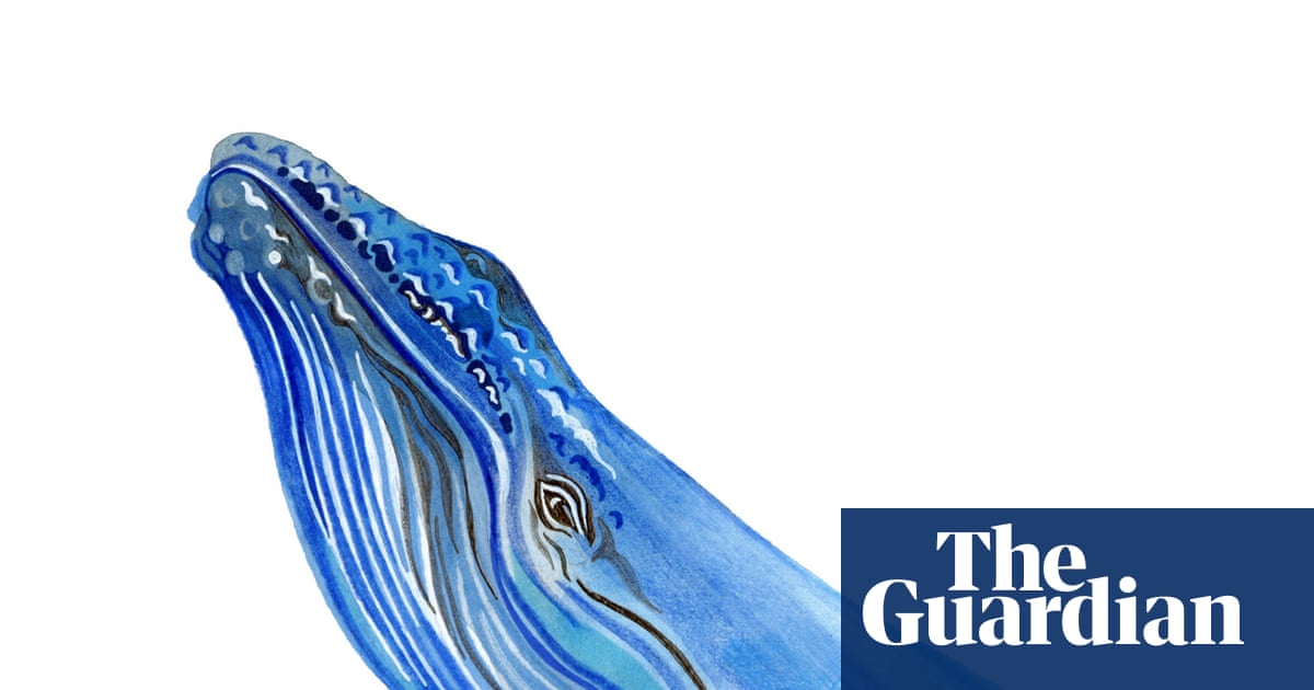 If a whale gets lost, can it find its way home? The kids’ quiz
