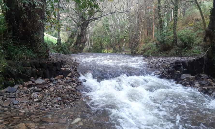 A free-flowing river in Spain.