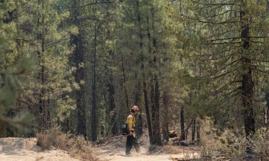 A firefighter searches for hotspots while mopping up the north-east side of the Bootleg fire near Sprague River, Oregon, on Wednesday.