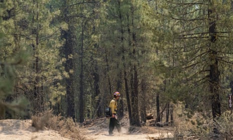 A firefighter searches for hotspots while mopping up the north-east side of the Bootleg fire near Sprague River, Oregon, on Wednesday. 