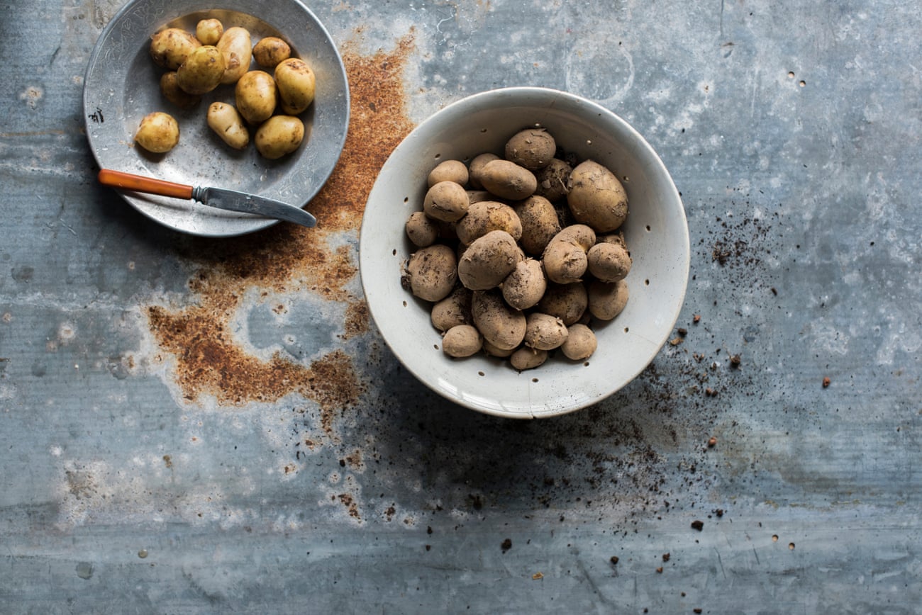 ‘I remember digging up new potatoes as a kid – they seemed so tiny, sweet and friendly; tiny jewels of the earth.’