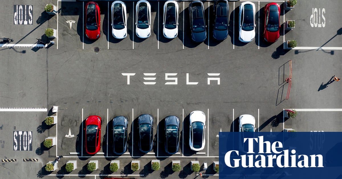 Tesla sales drop 9% as carmaker warns political sentiment' could impact future demand