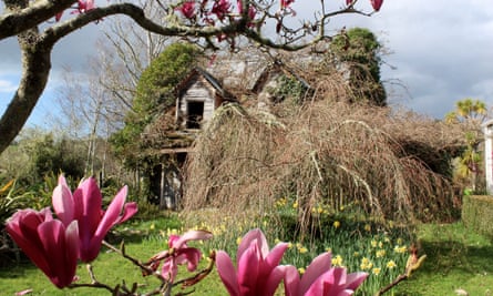 An 1870s house overtaken by wisteria in the garden of Bartlett and Gold Gallery, a pottery studio in Upper Moutere