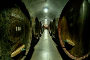 Roll out the barrel … huge oak casks in the Grand Cellar under the Changyu wine museum. Changyu Pioneer Wine, started in 1892, is China’s oldest and largest winery.