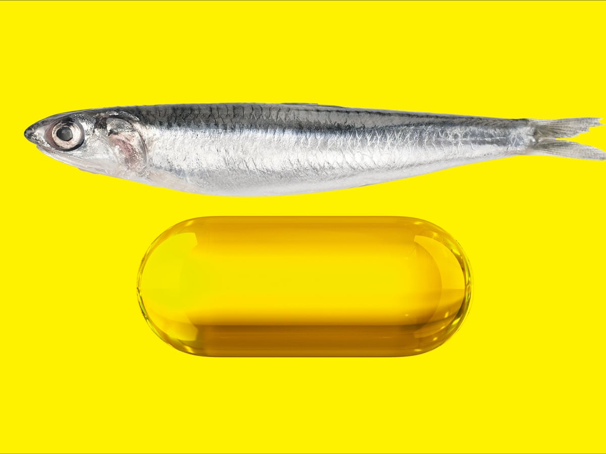 Fool S Gold What Fish Oil Is Doing To Our Health And The