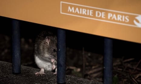 Nine city parks were closed in an attempt to control the rat population