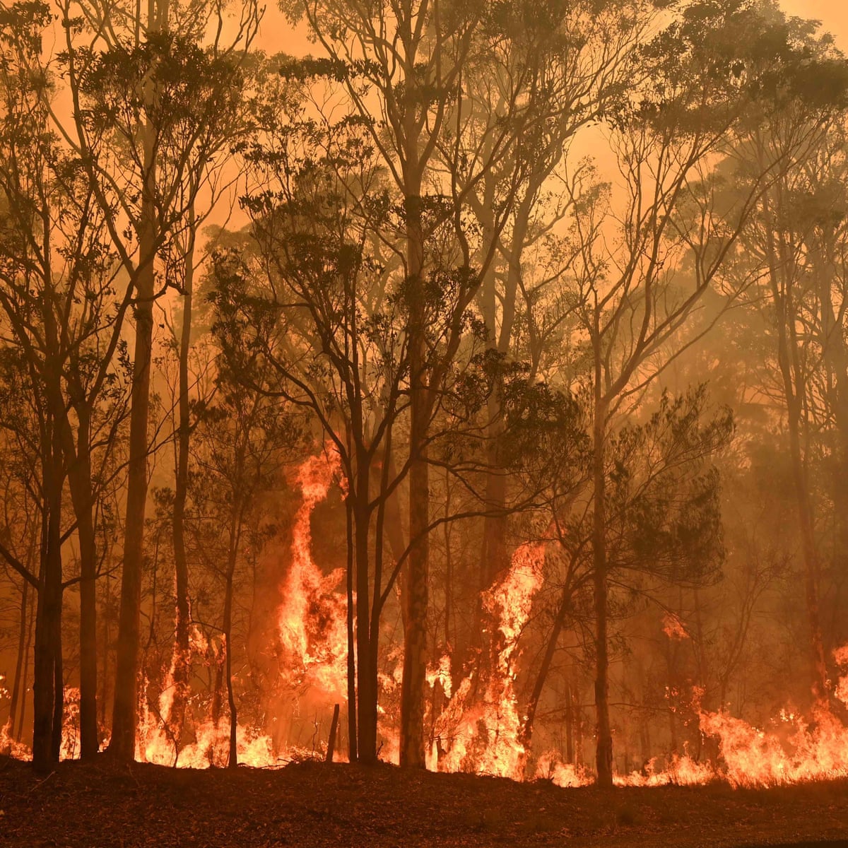 Australia records worst December fire conditions after its hottest, driest year | Bushfires | The Guardian