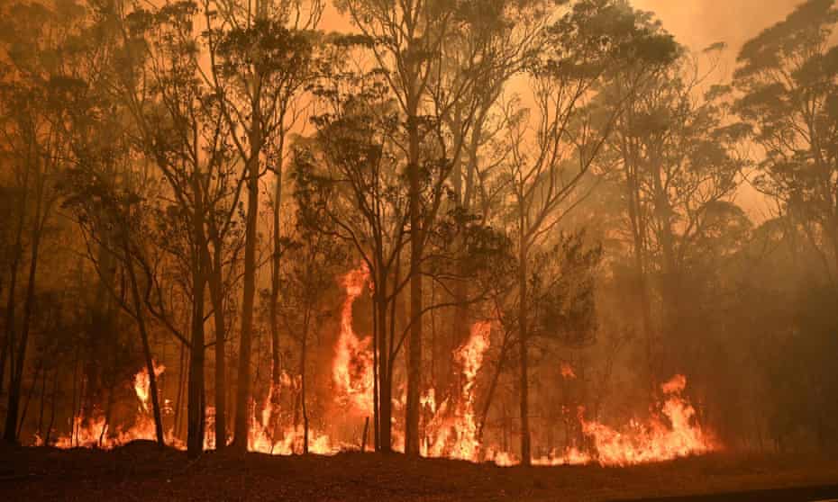 A bushfire in the town of Moruya, south of Batemans Bay, in New South Wales