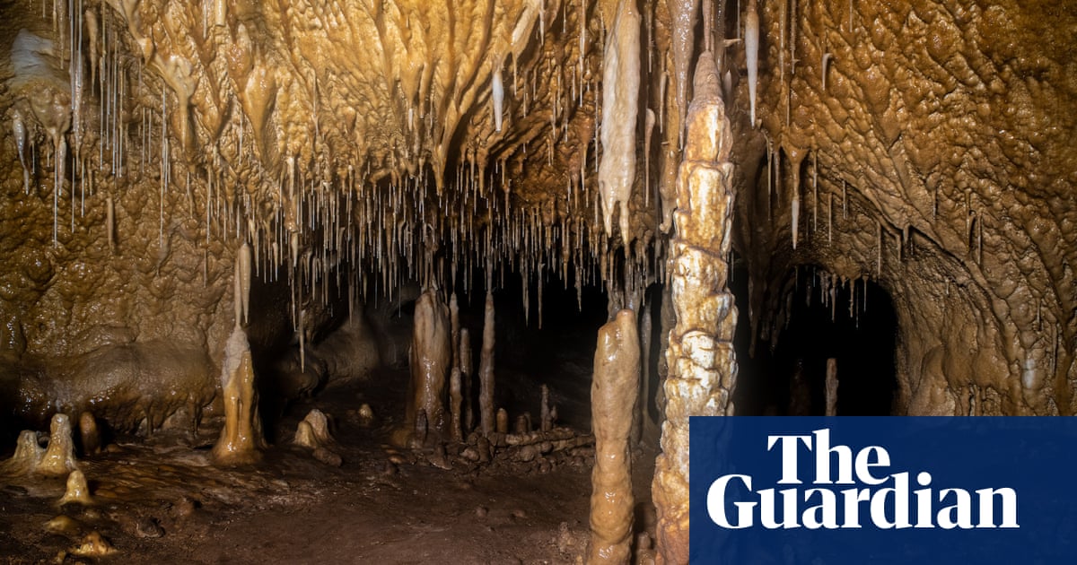 Bear-clawed cavern discovered in Spain ‘opens new door on prehistory’
