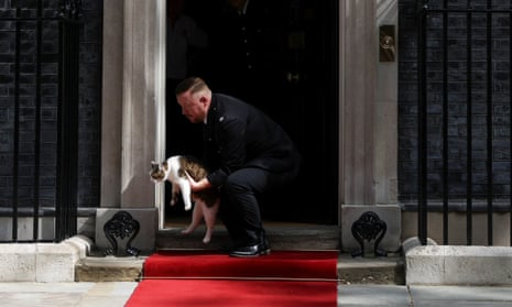 Larry the cat was taken from the Number 10 doorstep by Downing Street staff before the arrival of Joe Biden.