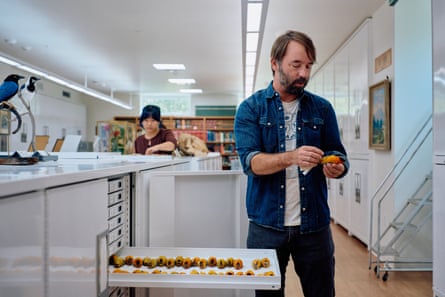 man stands in lab with drawer open