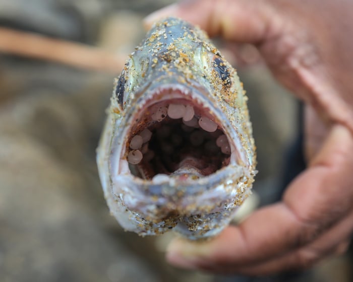 Why can’t the world get its act together on plastics? – podcast