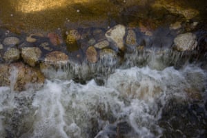 Strawberry Creek is emblematic of the intense, complex water fights playing out around the nation between Nestle, grassroots opposition, and government officials.