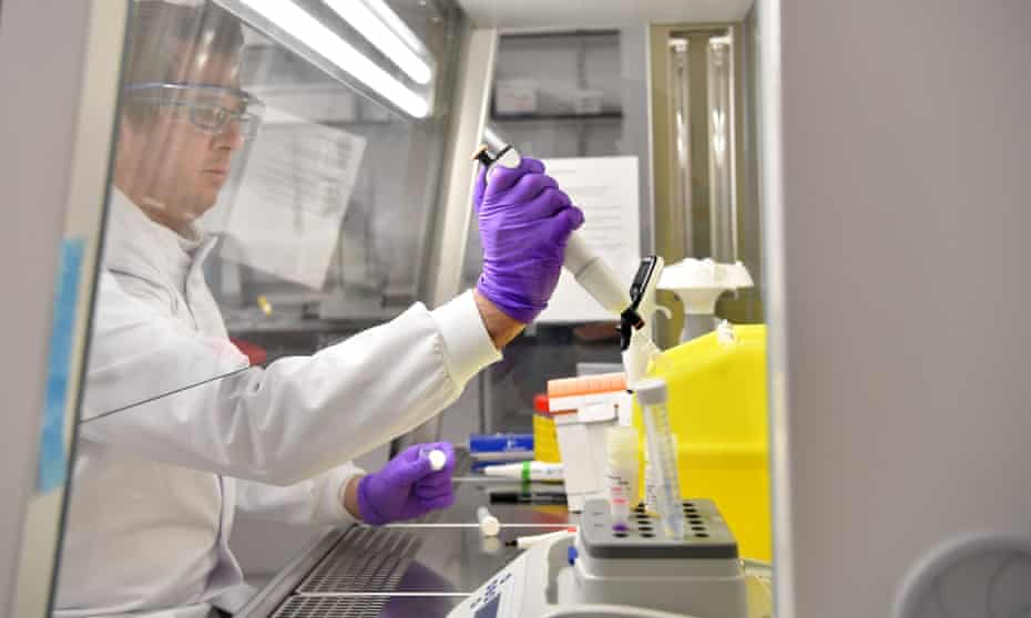 Scientists process samples for coronavirus