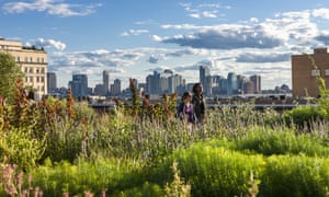 Part of New York’s High Line park, created from an abandoned elevated railway line.