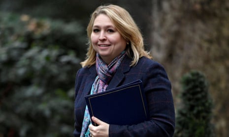 ‘She’s a lovely person but just doesn’t do her homework’: Karen Bradley has not impressed everyone.